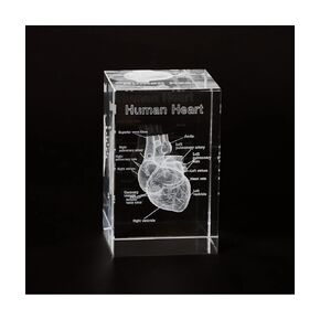 3D Human Heart Crystal Model, Laser Etched Anatomical Model for Home and Office Decoration, Cardiology Gifts