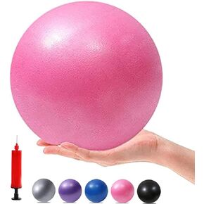 Mini Yoga Balls 6 Inch Exercise Pilates Therapy Balance Micropore Ball Barre Equipment for Home Stability Training Physical Core Training with Pump