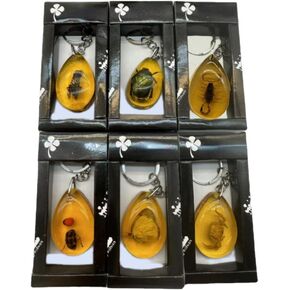 6Pcs Amber Fossil Keychain Set - Insect Specimen Necklace, Home Decor Collectible, Oval Pendant, Scientific Education Gift