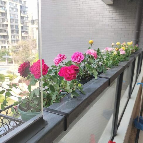 YXQ Patio Plant Flower Pot Holder Railing Shelf, Plant Pots Holder Windows Decorate for Balcony Decor,Patio or Porch Fence Railing，Brown in Kuwait