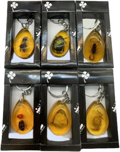 6Pcs Amber Fossil Keychain Set - Insect Specimen Necklace, Home Decor Collectible, Oval Pendant, Scientific Education Gift in Kuwait