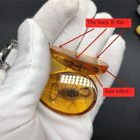 6Pcs Amber Fossil Keychain Set - Insect Specimen Necklace, Home Decor Collectible, Oval Pendant, Scientific Education Gift in Kuwait