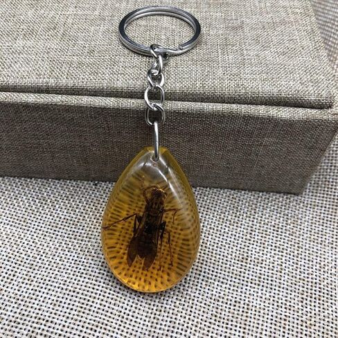 6Pcs Amber Fossil Keychain Set - Insect Specimen Necklace, Home Decor Collectible, Oval Pendant, Scientific Education Gift in Kuwait