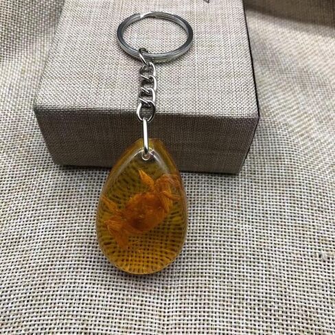 6Pcs Amber Fossil Keychain Set - Insect Specimen Necklace, Home Decor Collectible, Oval Pendant, Scientific Education Gift in Kuwait