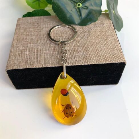 6Pcs Amber Fossil Keychain Set - Insect Specimen Necklace, Home Decor Collectible, Oval Pendant, Scientific Education Gift in Kuwait