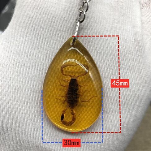 6Pcs Amber Fossil Keychain Set - Insect Specimen Necklace, Home Decor Collectible, Oval Pendant, Scientific Education Gift in Kuwait
