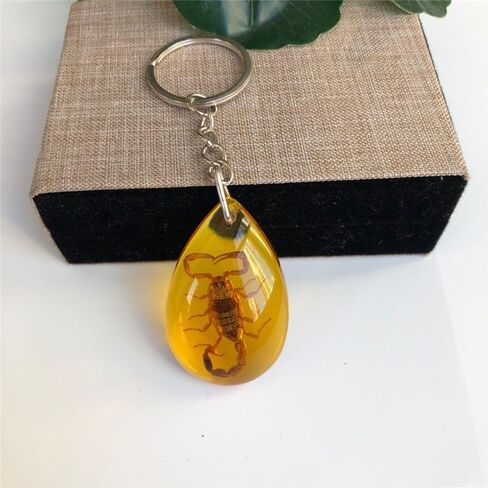 6Pcs Amber Fossil Keychain Set - Insect Specimen Necklace, Home Decor Collectible, Oval Pendant, Scientific Education Gift in Kuwait