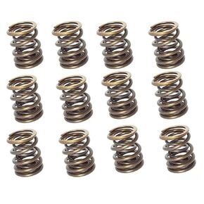 Valve Spring Set Kit of Twelve 90110590151 90110590150 for Porsche 911 914 930