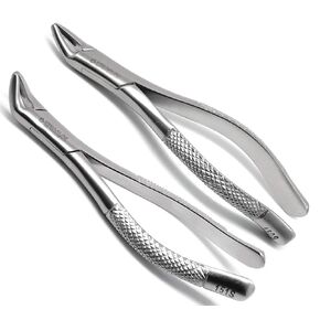 2 Pcs Dental Extracting Forceps 150s & 151s Upper Lower Molars Incisors Surgical Instruments