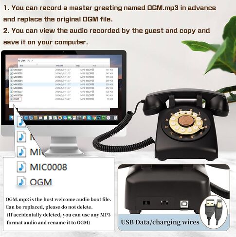 هاتف الزفاف الصوتي الخاص بكتاب الضيوف (عتيق، أبيض طازج) in Kuwait