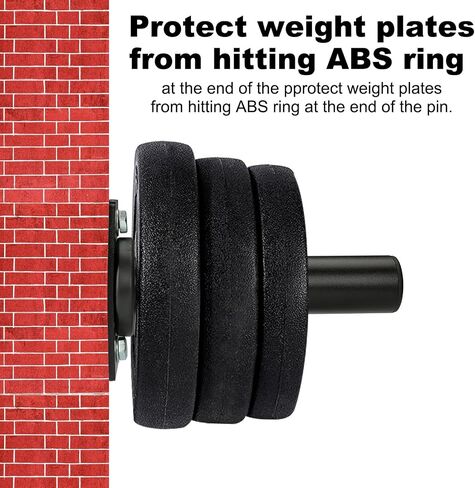 Wall Mounted Weight Plate Holder - Fit 2 Inch Weight Plates, Weight Plate Rack for Home Gym, Max Weight Capacity 300 Lb, Mounting Hardware Included in Saudi Arabia