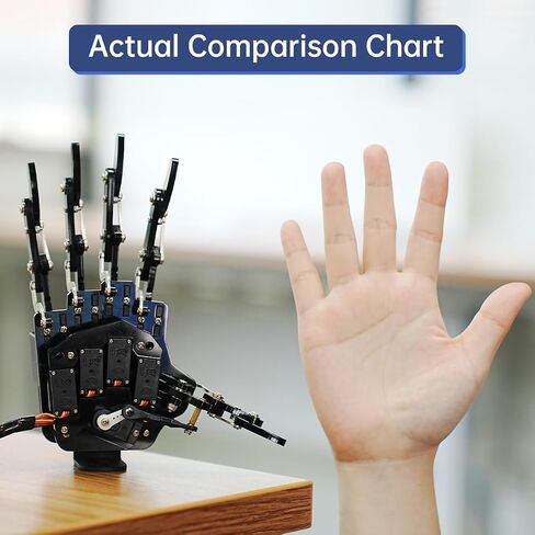 HIWONDER Robot Hand Five Fingers Support Secondary Development Solely Movement Bionic Robot Mechanical Arm Hand DIY Robot（Right Hand） in Kuwait