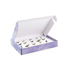 4 PCS Insect Pinning Boxes for Entomology 7.9 x 5.5 x 1.6 Inch, Included 4 PCS White Foam Pinning Board and 1 Box of Insect Pins for Science Education Project Bugs Collection and Specimen Displays