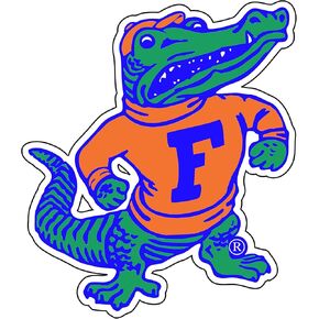 Florida Gators Magnet (ALBERT MAGNET (3",6",11"), 11 in)