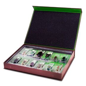 Geoworld Nature Collection Insects in Resin: 12 Insects - Scorpion, Spider, Beetles and More - STEM Education or Collection Set