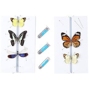 Making Insect Specimen Tools Kit, (300Pcs Insect Pins in Size #1,2,3) & (2 Pack Insect Pinning Boards), Insect Collection Craft Tools for School Lab Science Education Project/Bug Hobbyist
