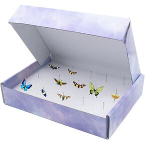 4 PCS Insect Pinning Boxes for Entomology, Suitable for Project Bugs Collection and Specimen Displays, 7.9 x 5.5 x 1.6 Inch