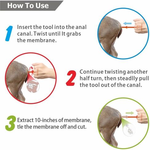 Butt Out Tool - Deer Field Dressing Accessories for Large Animal Livestock Anal Cleaning, 3 Pcs in Saudi Arabia