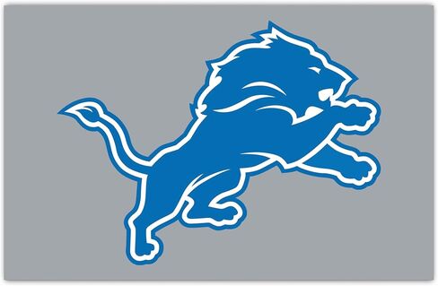 FANMATS 31663 NFL - Detroit Lions HiDef Rookie Mat|Primary Logo|18 x 30 inches in Saudi Arabia
