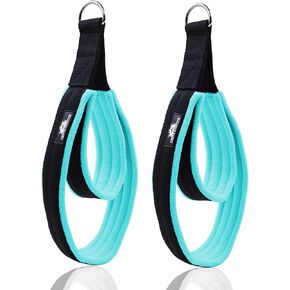 1 Pair Enhanced Pilates Double Loop Straps for Reformer, Thickened D-Ring Handle Straps, Yoga Exercise Accessories in 2 Lengths and Multicolor for Home Gym Workout