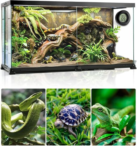 Lizard Tank Thermometer and Humidity Black 2 Pack, Aggforbl LCD Digital Thermometer Hygrometer for Reptile Tank, Ball Python Tank Bearded Dragon Accessories for Habitat in Saudi Arabia