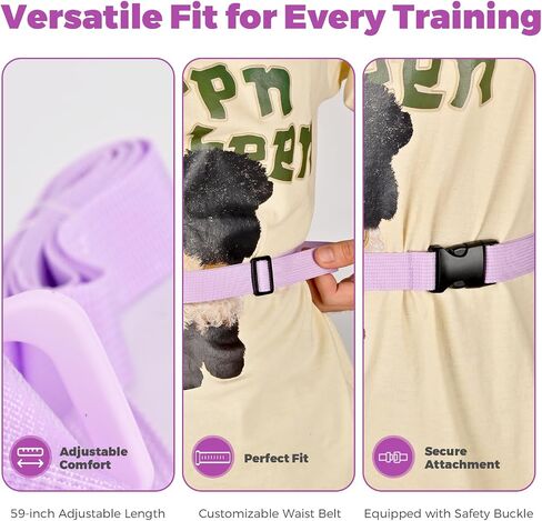 Dog Treat Pouch for Pet Training, 1.67 Cup Magnetic Closure Silicone Dog Treat Bag, Fanny Bag Treat Holder with Waist Belt for Dog Training (Black) in Saudi Arabia