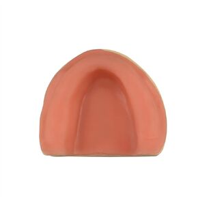 Dental Implant Training Maxillary Edentulous Model, Simplified Maxilla with Soft Tissue, Great Training Tooth for Implant Practice