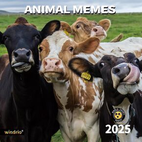 2025 Wall Calendar,Calendar 2025, January 2025 - December 2025, Wall Calendar Cat Kitten, 12" x 24" Opened,Full Page Months Thick & Sturdy Paper for Calendar Organizing & Planning