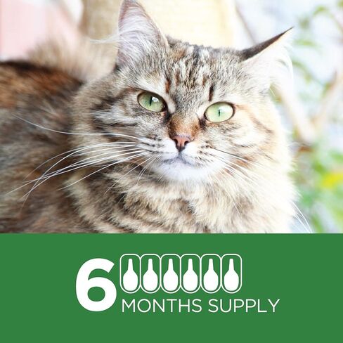 TevraPet Actispot II Flea Treatment for Small and Medium Cats 5-9 lbs | 6 Doses | Powerful Prevention and Control, Clear in Saudi Arabia