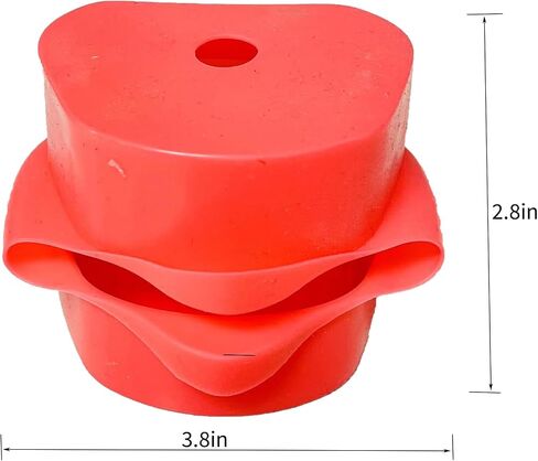 Teeth Model Simulates Cheeks, Artificial Cheeks are Suitable for Installing of Tooth Model in Kuwait
