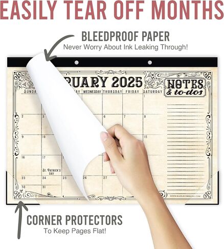 Desk Calendar 2025 - Large Monthly Desk Calendar (11 x 17 Inches) for Home, Office, and Classroom, 18-Month Desk Calendar 2025-2026 with Thick Paper (Doodle) in Saudi Arabia
