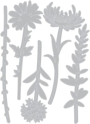 Sizzix Thinlits Die Set , Wildflower Stems #2 by Tim Holtz, 5 Pack, One Size, Multicolor 5 Piece in Saudi Arabia