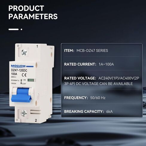 DC 1 Pole Miniature Circuit Breaker, 250V 100Amps, C100 Scene Visualization Custom MCB Thermal Magnetic Trip, 6KA Breaking Capacity DC Disconnect Switch for Solar PV System in Saudi Arabia