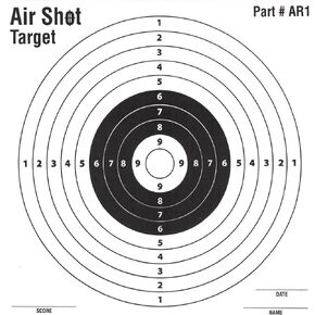 100 Pack Paper Targets - 5.5 by 5.5 - Fits Gamo Cone Traps - Part # AR1