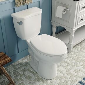 DeerValley Two-Piece Elongated Toilet ADA 17.9" High Toilet for Bathrooms, 1000g Map High-Efficiency, 12" Rough-In
