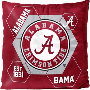 Northwest Velvet Pillow, 16" x 16", Connector