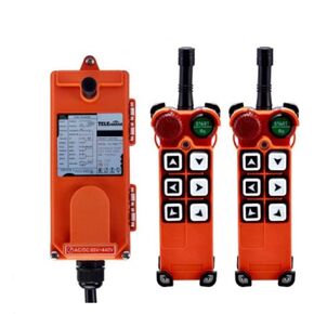 Hoist Crane Wireless Remote Control Double Transmitters Industrial Channel AC/DC 65V-440V F21-E1 Transmitter (2 Transmitter + 1 Receiver)