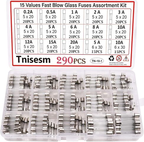 Tnisesm 20 جهاز كمبيوتر شخصى الصمامات ضوء عيد الميلاد 3A 3.6x10mm 125V الصمامات الزجاجية ضربة سريعة، الصمامات الصغيرة الصغيرة، سلسلة عيد الميلاد في الهواء الطلق ضوء المكونات مروحة الصمامات in Kuwait