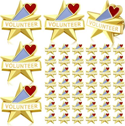 Tondiamo 50 Pcs Awards Gifts Star Performer Lapel Pins Employee of The Month Recognition Volunteer Star Pins Employee Volunteer Reward(Star Performer) in Saudi Arabia