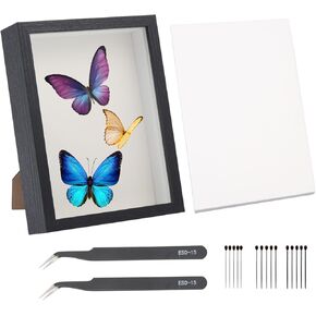GLOBLELAND 1Pc Insect Display Case Wall Mount Insect Collection Box Set for Butterfly Specimen with 1 Sheet EVA Foam Board 2pcs Stainless Steel Curved Pointed Tweezers and 150Pcs Insect Pins