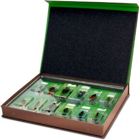 مجموعة Geoworld Nature Collection الحشرات في الراتنج: 12 حشرة - الدبابير والعناكب والخنافس والمزيد - مجموعة التعليم أو مجموعة العلوم والتكنولوجيا والهندسة والرياضيات in Kuwait