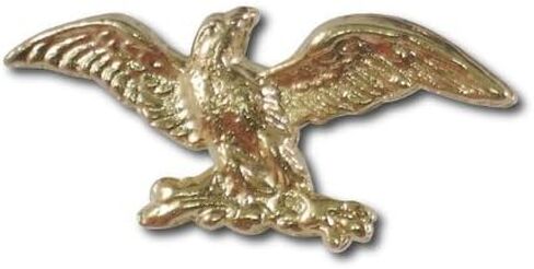 StockPins Gold Eagle Lapel Pin – Handcrafted American Eagle Pin for Men and Women, For Jackets, Hats, Backpacks in Saudi Arabia