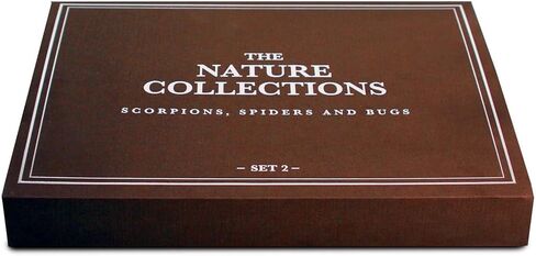 Geoworld Nature Collection Insects in Resin: 12 Insects - Wasps, Spiders, Beetles and More - STEM Education or Collection Set in Kuwait