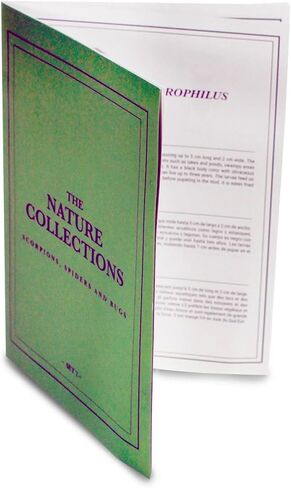 Geoworld Nature Collection Insects in Resin: 12 Insects - Wasps, Spiders, Beetles and More - STEM Education or Collection Set in Kuwait