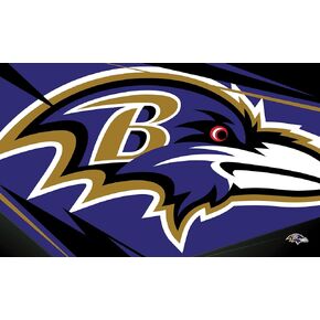 NORTHWEST The Company NFL Baltimore Ravens Washable Rug, 36" x 60", Shredder, Team Colors