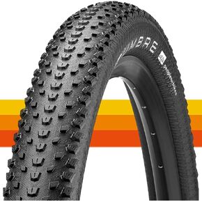 AMERICAN CLASSIC Bike Tires, for Gravel Bike, Mountain Bike, Road Bike, PeopleforBike Community Grants Program (Project P4B)