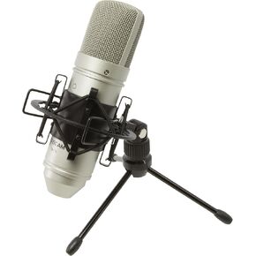 Tascam TM-80 Large Diaphagm Condenser Microphone,Silver