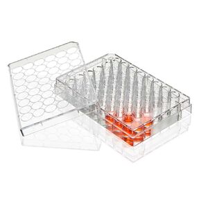 Diamond SureGro Multiple Well Plate, 48 Well, Flat Bottom, Non-Treated, Sterile, Individually Wrapped, 50/Box