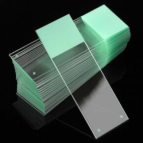 Globe Scientific 1358G-72 Borosilicate Glass Microscope Slide, Diamond, White, 90° Ground Edges, 25 mm Width x 75 mm Length (Pack of 72)