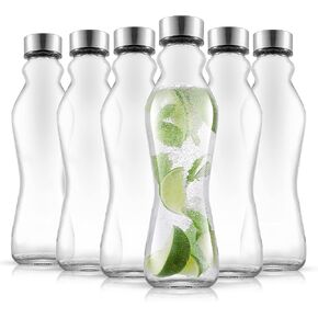 JoyJolt Spring Glass Water Bottles Set of 6-18 oz Glass Bottles with Stainless Steel Caps - Glass Drinking Bottles with Leakproof Lids - Reusable Glass Juice Bottle - Container Bottle Set